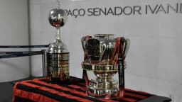Troféu da Copa Libertadores em exposição no Senado Federal, em Brasília