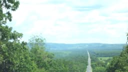 Estrada cortando plantação de eucalipto na rodovia MG-181, em Minas Gerais