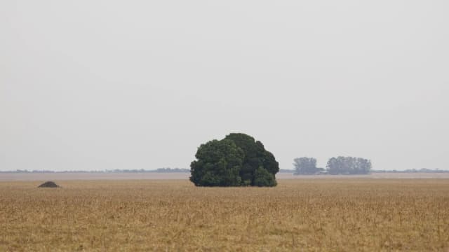 Plantação no Cerrado brasileiro, região que concentra parte da fronteira agrícola voltada à exportação