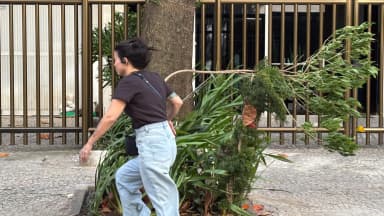 Mulher passa por árvore com galhos curvados pelo vento em calçada do Rio de Janeiro durante alerta de temporal