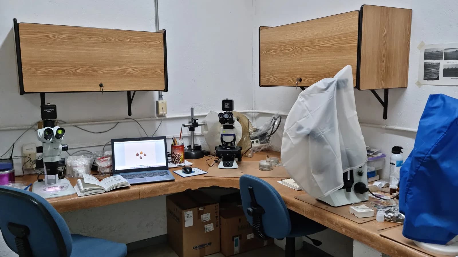 Laboratório científico com microscópios e equipamentos de pesquisa