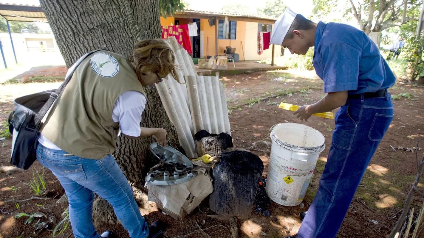 Agente de saúde inspeciona recipiente em quintal durante ação de combate ao Aedes aegypti (foto de arquivo)