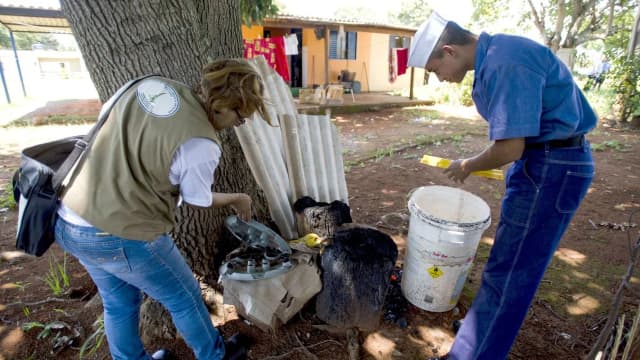 Agente de saúde inspeciona recipiente em quintal durante ação de combate ao Aedes aegypti (foto de arquivo)