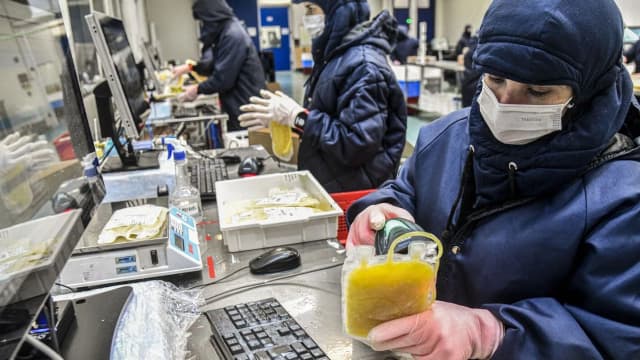Funcionários processam plasma sanguíneo na fábrica da Hemobrás, em Goiana (PE)