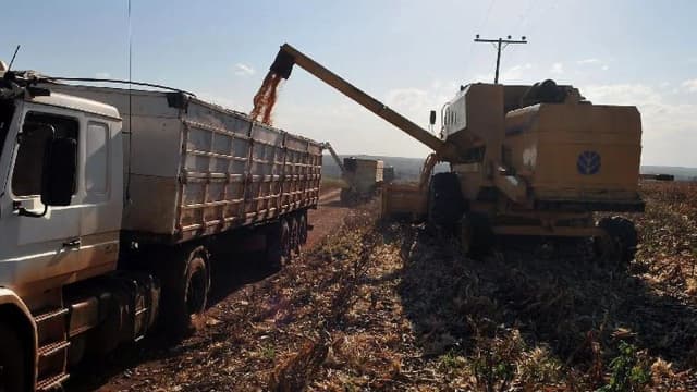 Caminhão é carregado com grãos por colheitadeira em lavoura de soja