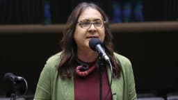 Deputada federal Duda Salabert discursa ao microfone no plenário da Câmara dos Deputados
