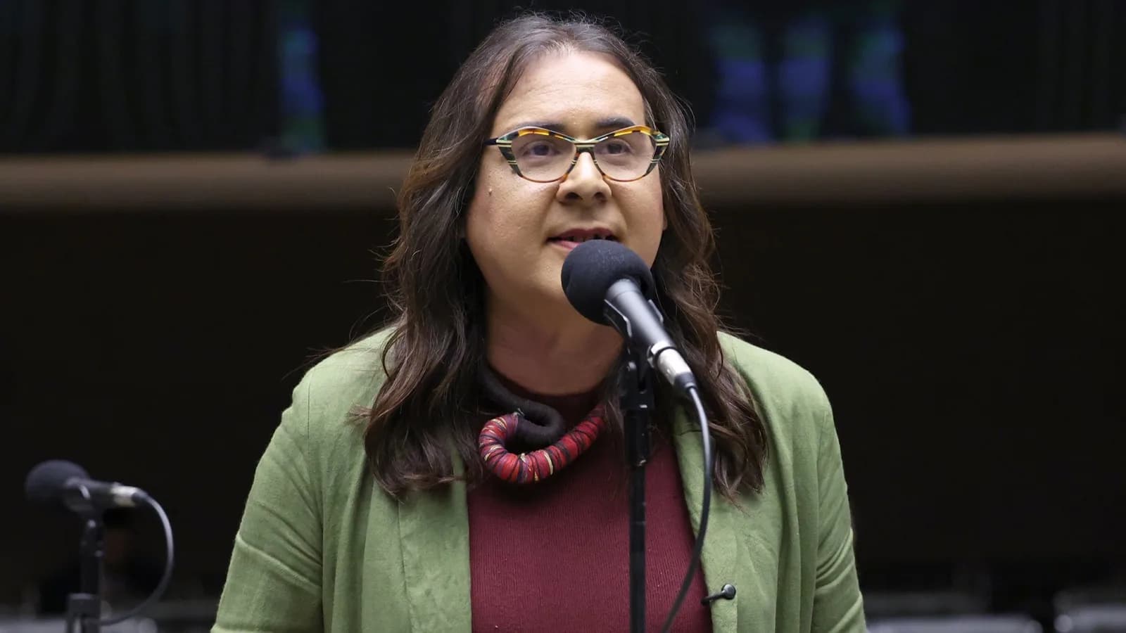 Deputada federal Duda Salabert discursa ao microfone no plenário da Câmara dos Deputados