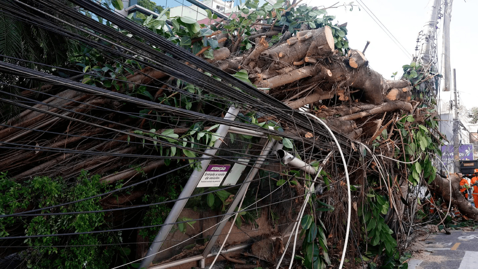 Árvore caída sobre fiação elétrica após ventania no Rio de Janeiro, com agentes de manutenção trabalhando no local (foto de arquivo de vendaval anterior na cidade)
