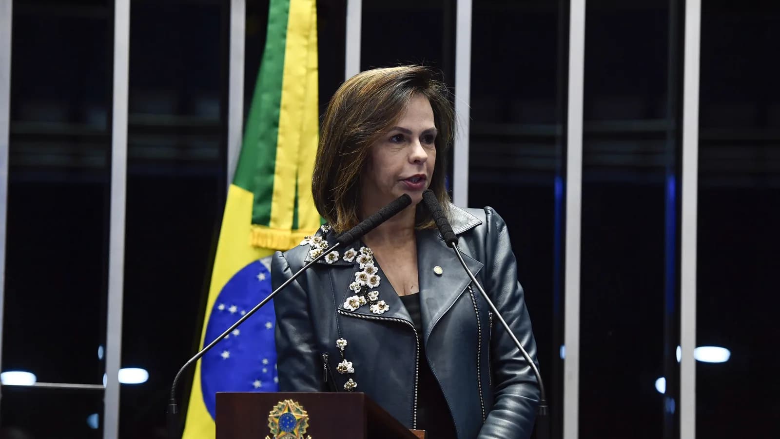Professora Dorinha discursa no plenário do Senado