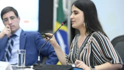 Painelista fala ao microfone ao lado de outro participante durante evento sobre acessibilidade e inclusão, com bandeira do Brasil ao fundo
