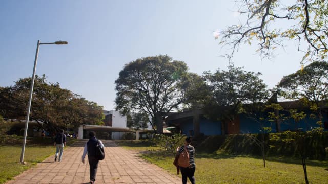 Campus da Cidade Universitária da USP, em São Paulo