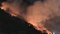 Incêndio na Floresta da Tijuca combatido por bombeiros (foto de arquivo)
