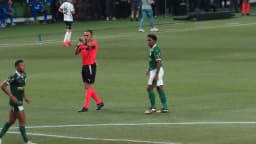 Endrick em campo com uniforme verde do Palmeiras, em disputa de bola (foto de arquivo)