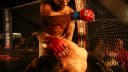 Lutadores de MMA em combate dentro do octógono (foto de contexto)