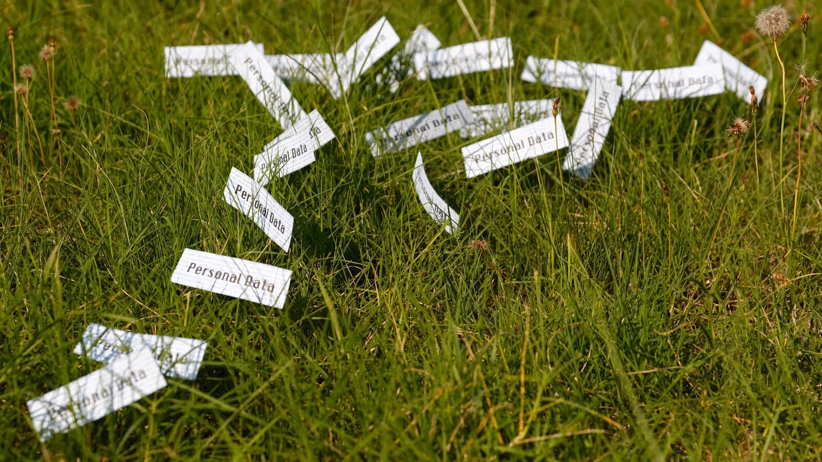 Tiras de papel com o texto Personal Data espalhadas sobre a grama