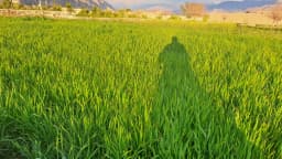 Paisagem montanhosa na província de Kunar, no Afeganistão, usada como foto de contexto da região atingida por ataques.