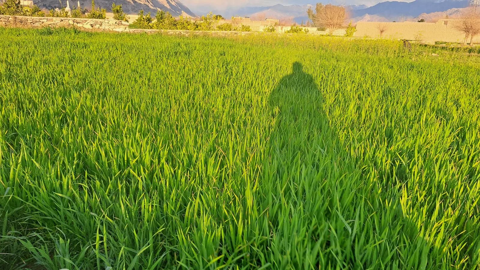 Paisagem montanhosa na província de Kunar, no Afeganistão, usada como foto de contexto da região atingida por ataques.