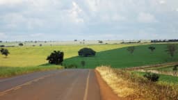 Lavoura de soja verde em Goiás, com estrada de terra vermelha ao fundo