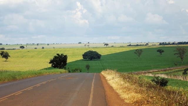 Lavoura de soja verde em Goiás, com estrada de terra vermelha ao fundo