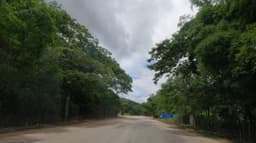 Trecho arborizado da rodovia BR-116 na região de Teófilo Otoni (MG), foto de arquivo da rodovia, não do local exato do acidente