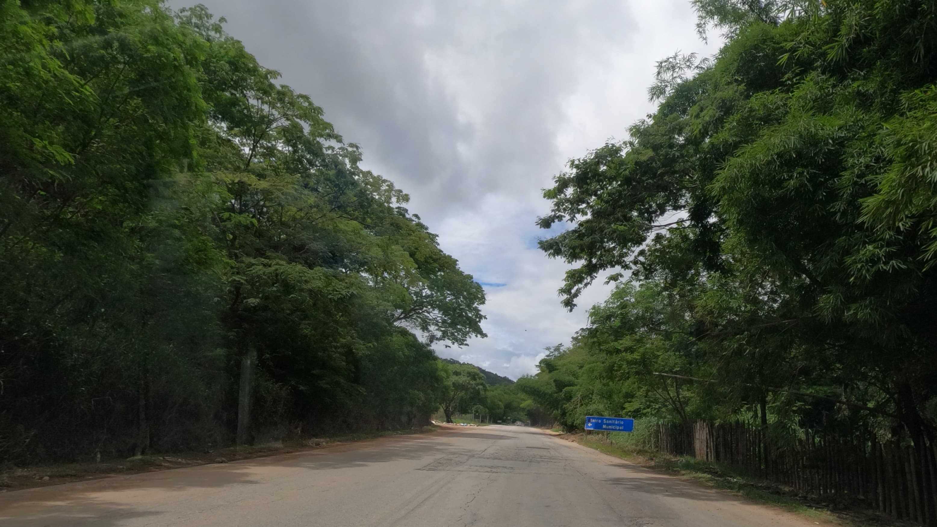 Trecho arborizado da rodovia BR-116 na região de Teófilo Otoni (MG), foto de arquivo da rodovia, não do local exato do acidente