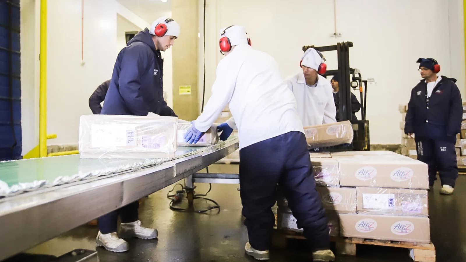 Trabalhadores embalam caixas de frango em linha de produção para exportação, foto de arquivo