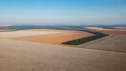 Vista aérea de lavoura agrícola no Centro-Oeste do Brasil, imagem de arquivo de 2017 associada à abertura da colheita de algodão