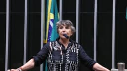 Erika Kokay discursa na tribuna da Câmara dos Deputados, com a bandeira do Brasil ao fundo