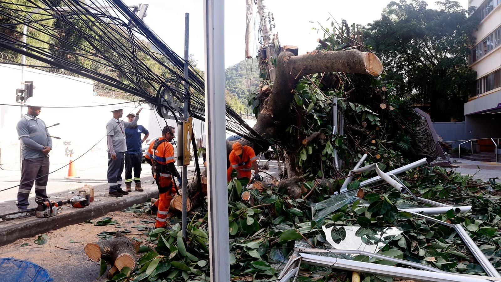 Equipes com motosserra cortam o tronco de uma árvore de grande porte caída sobre a fiação elétrica em rua do Rio de Janeiro, com vidros quebrados na calçada