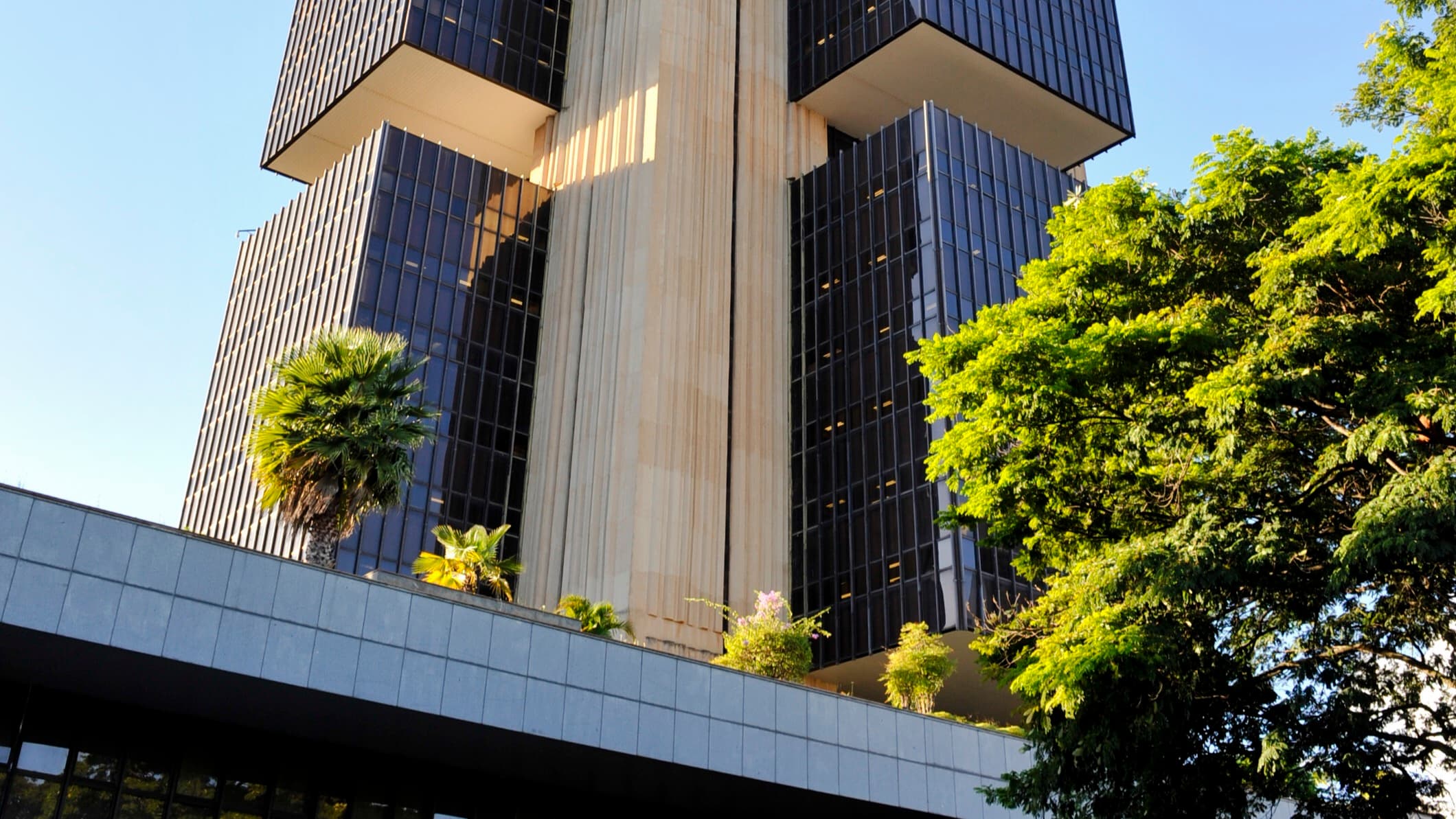 Vista de baixo para cima da fachada do prédio-sede do Banco Central do Brasil, em Brasília, com uma árvore verde ao lado