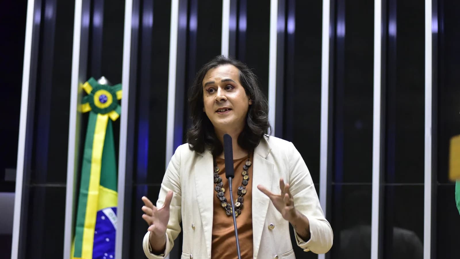 Deputada federal trans discursa no plenário da Câmara dos Deputados, com a bandeira do Brasil ao fundo, em foto de arquivo usada como contexto sobre candidaturas trans