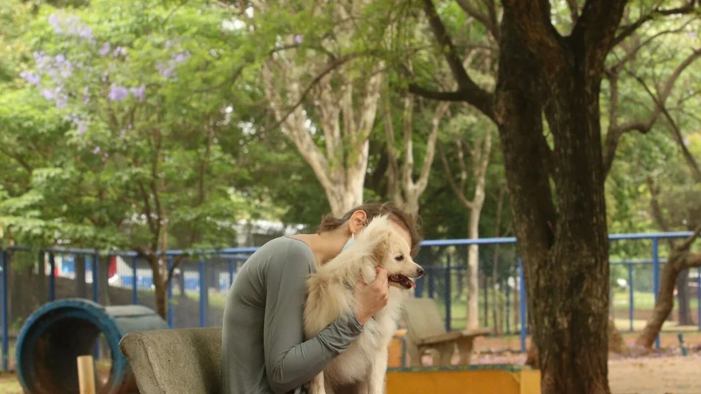 Tutora com cachorro em parque público, cena do universo pet que move o negócio da Petz
