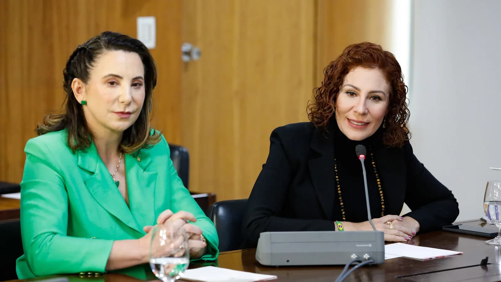 Celina Leão em reunião oficial