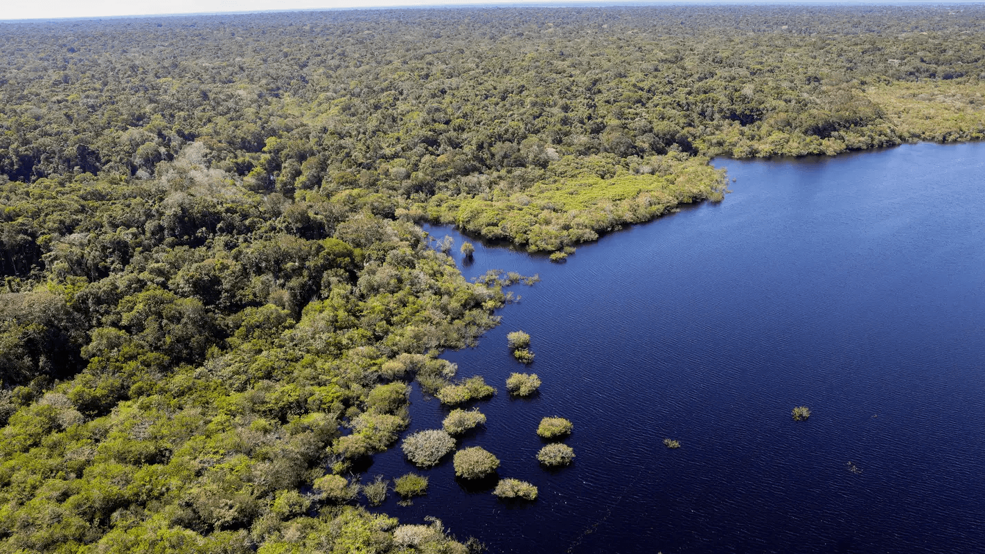 Vista aérea de trecho preservado da floresta amazônica às margens de um rio