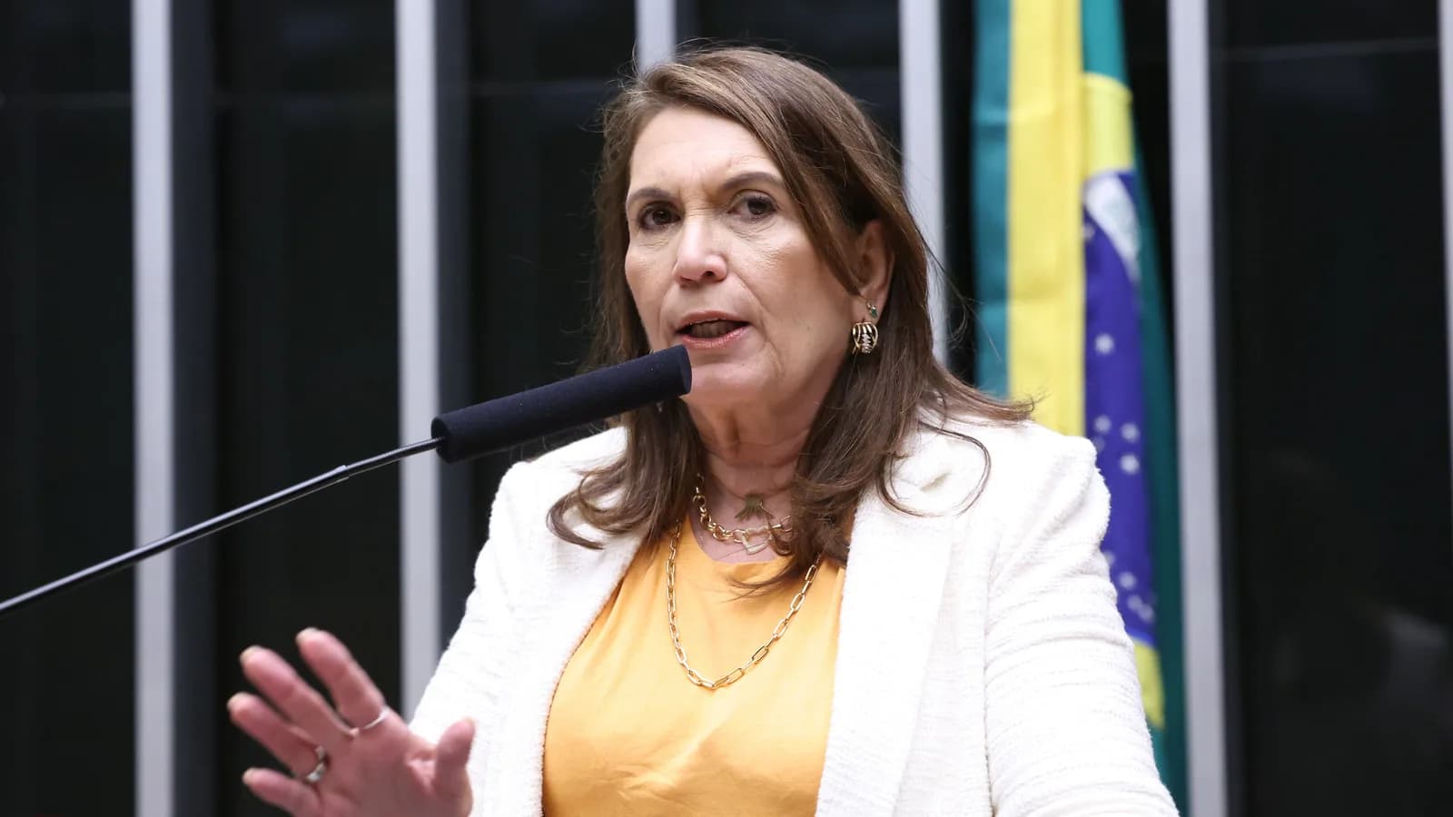 Deputada federal Bia Kicis fala ao microfone no plenário da Câmara dos Deputados, com bandeiras do Brasil ao fundo