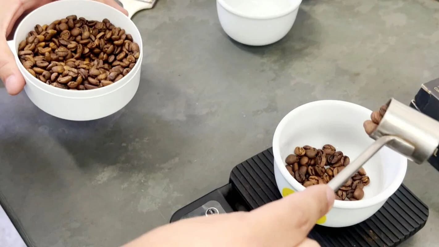 Mãos seguram grãos de café especial de Minas Gerais