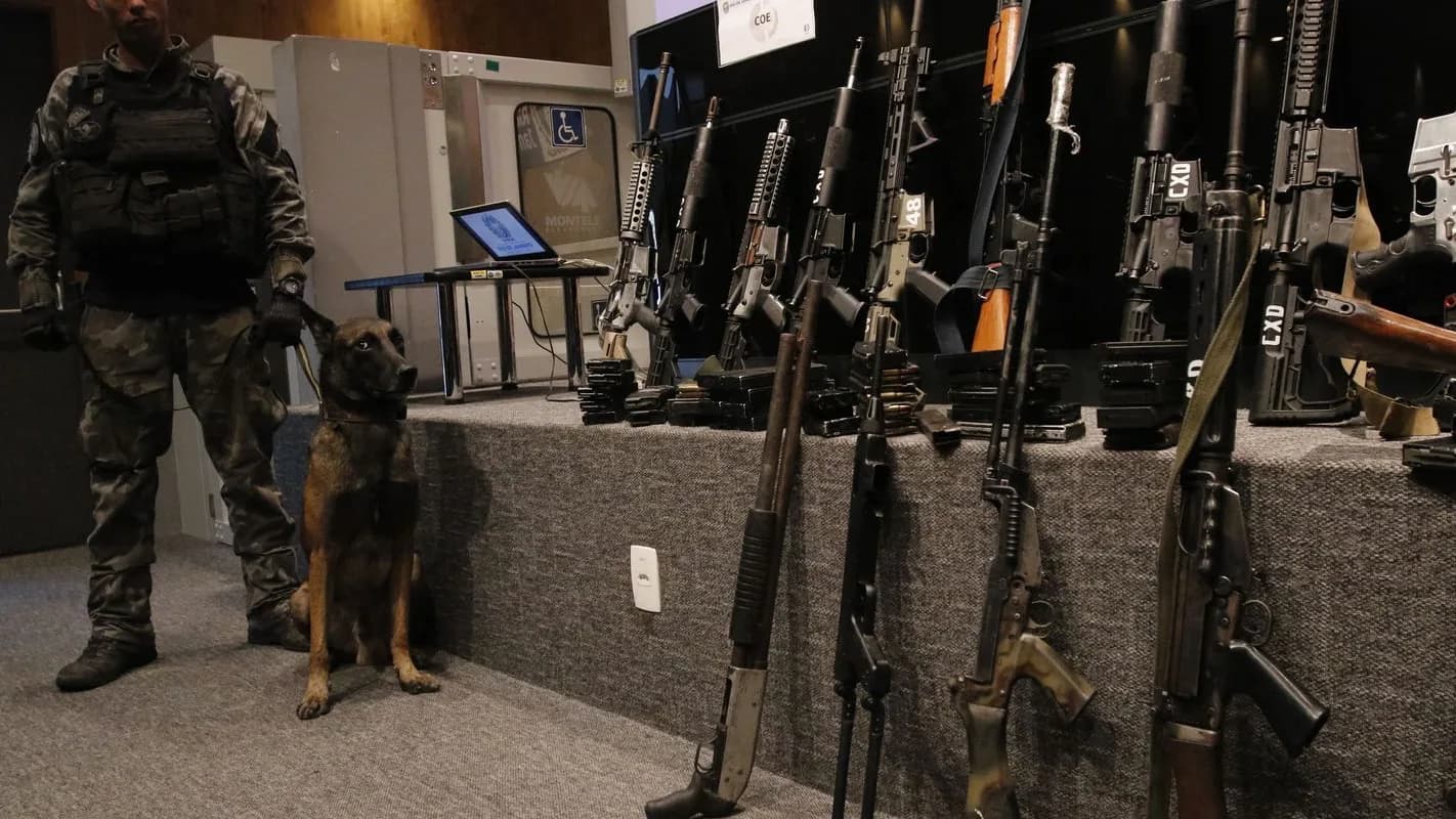 Policial com cão farejador ao lado de fuzis e armamentos apreendidos