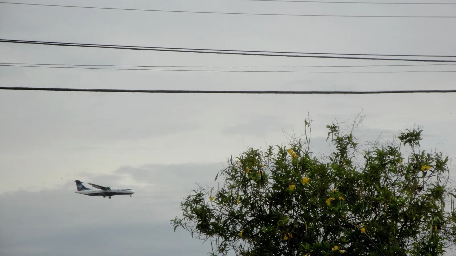 Avião ATR-72 da Azul Linhas Aéreas em aproximação final para pouso