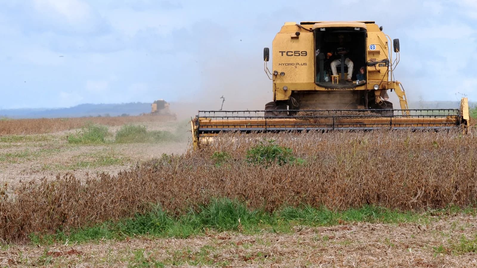 Colheitadeira em lavoura de soja em Rondonópolis, Mato Grosso