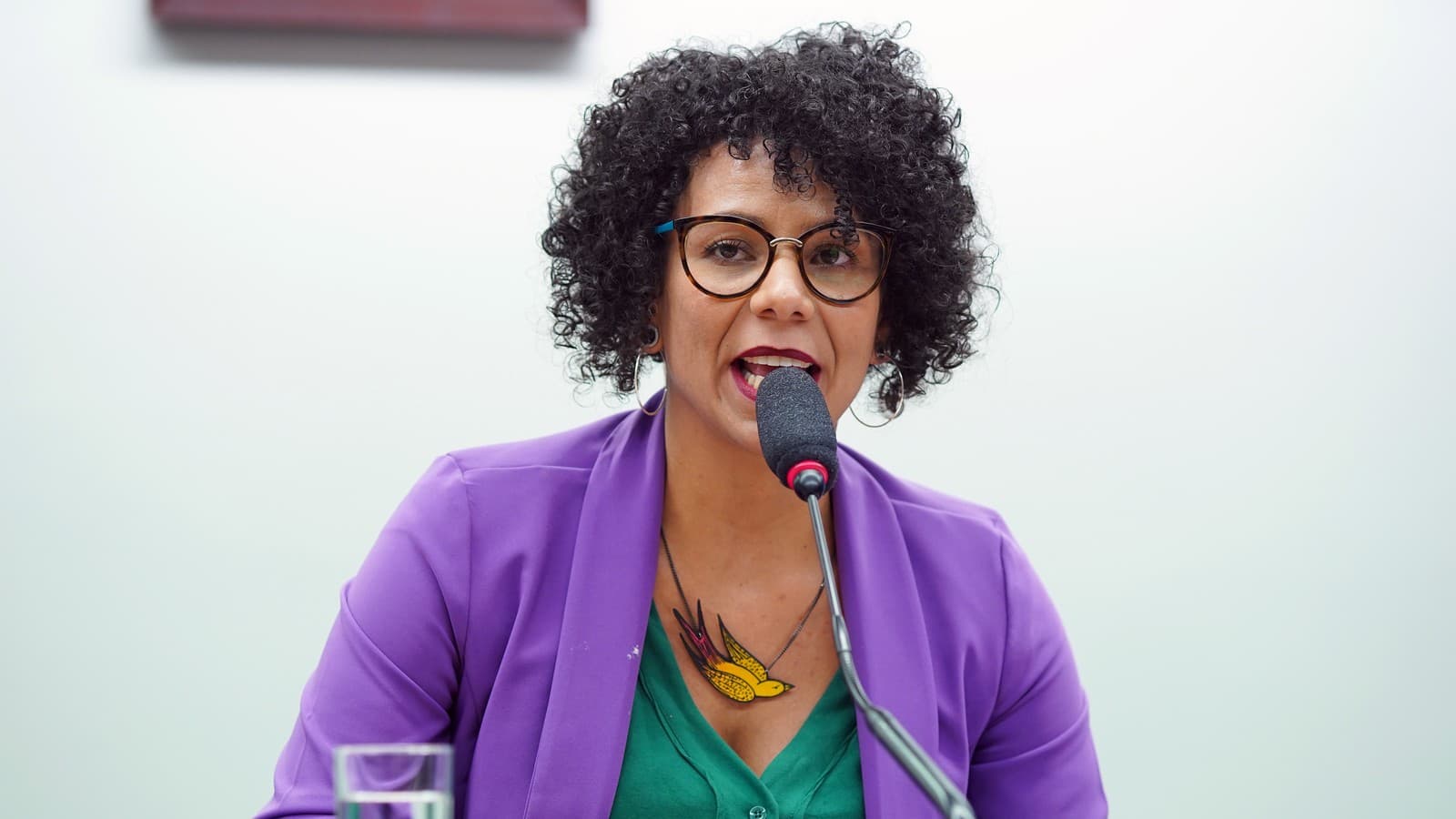 Áurea Carolina fala ao microfone durante audiência pública na Câmara dos Deputados, em julho de 2019. Foto de arquivo