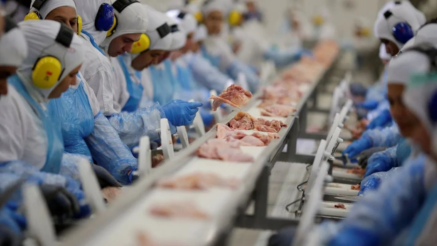 Trabalhadores em linha de produção de frigorífico de exportação