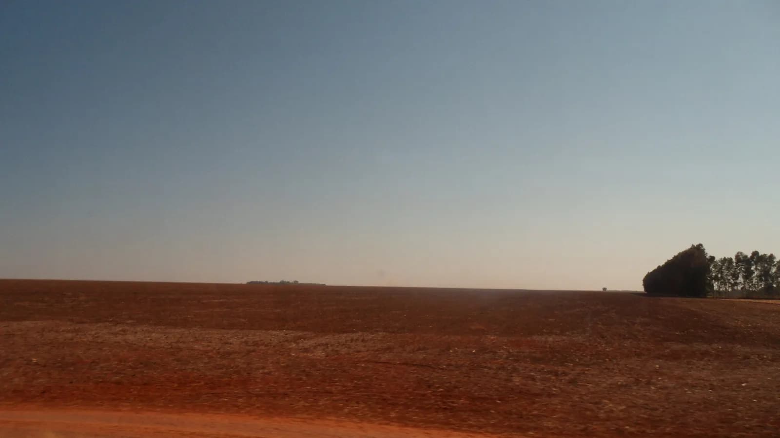 Lavoura de soja plantada em Vilhena, Rondônia