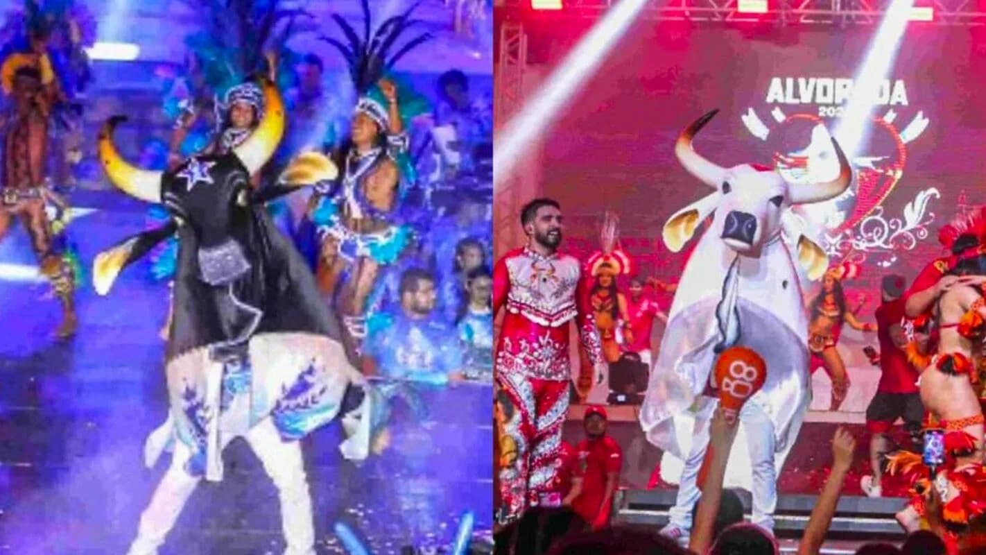 Boi Bumbá se apresenta no Festival de Parintins, no Amazonas, com dançarinos e público