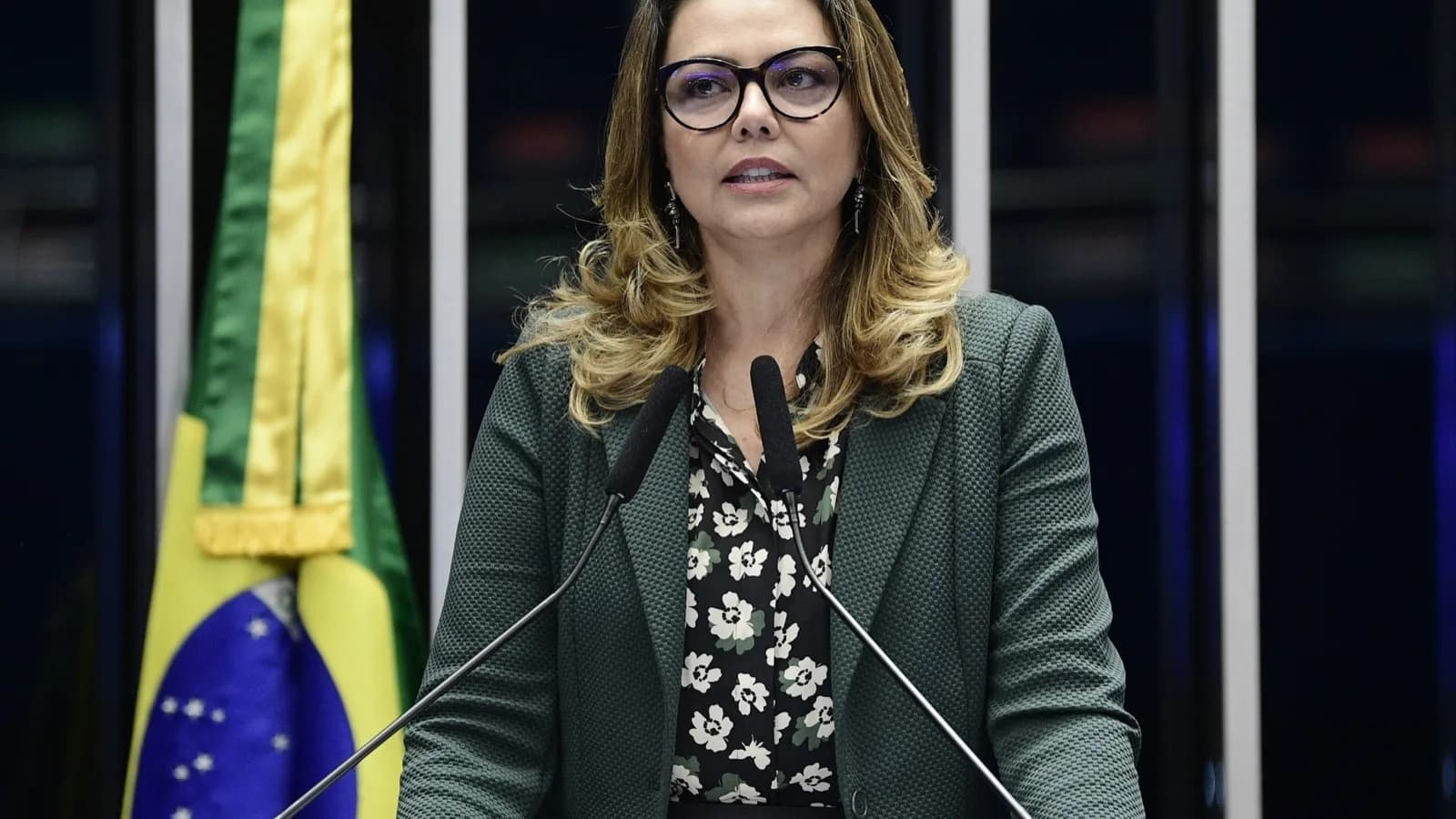Senadora Leila Barros discursa na tribuna do Senado Federal
