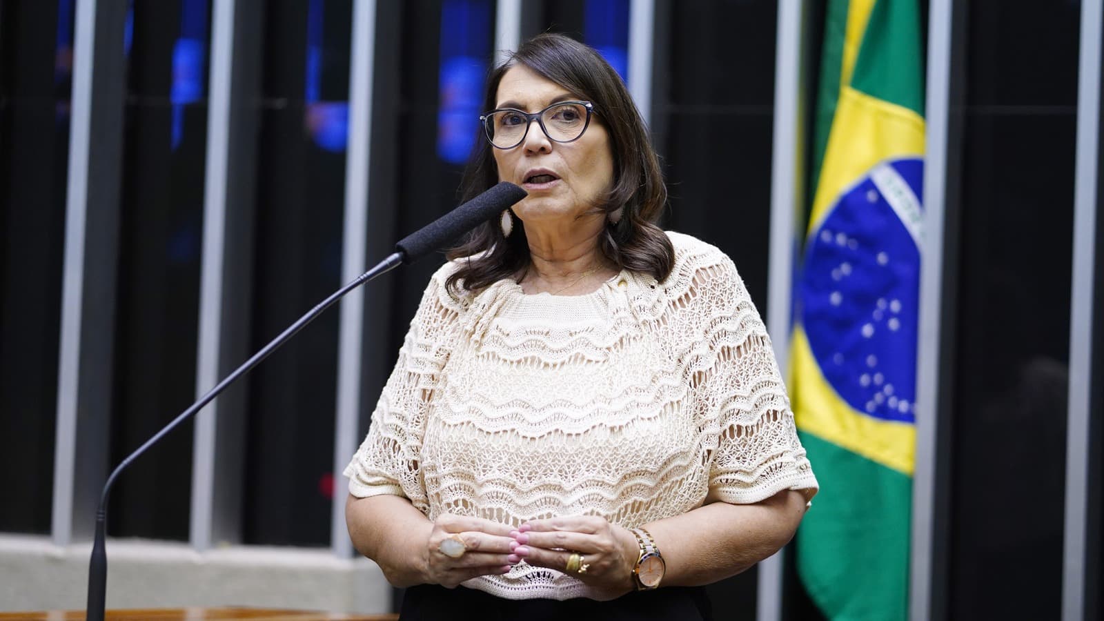 A deputada federal Bia Kicis discursa na tribuna da Câmara dos Deputados, com a bandeira do Brasil ao fundo; imagem de arquivo