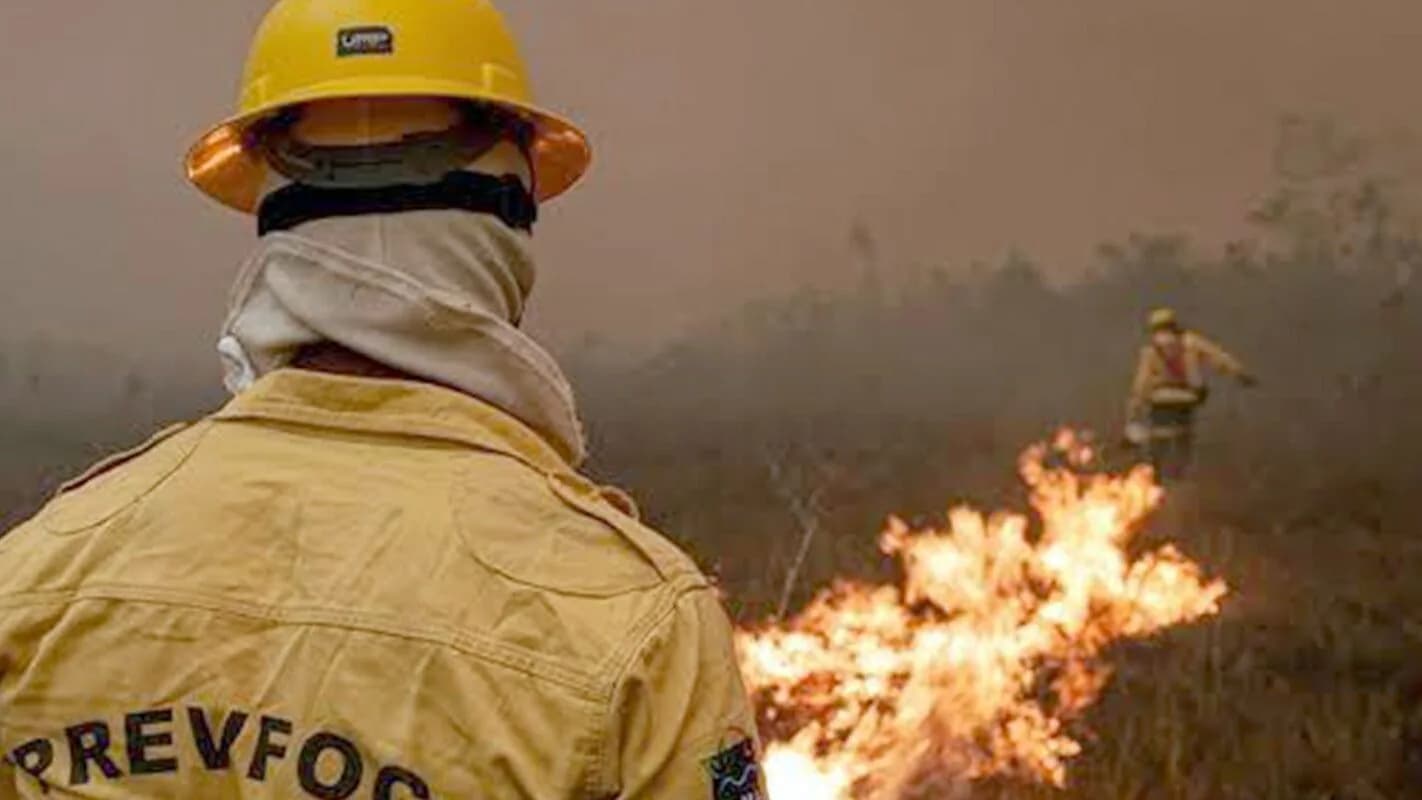 Brigadista de combate a incêndios florestais observa fogo em vegetação, de costas, usando capacete e uniforme do Prevfogo