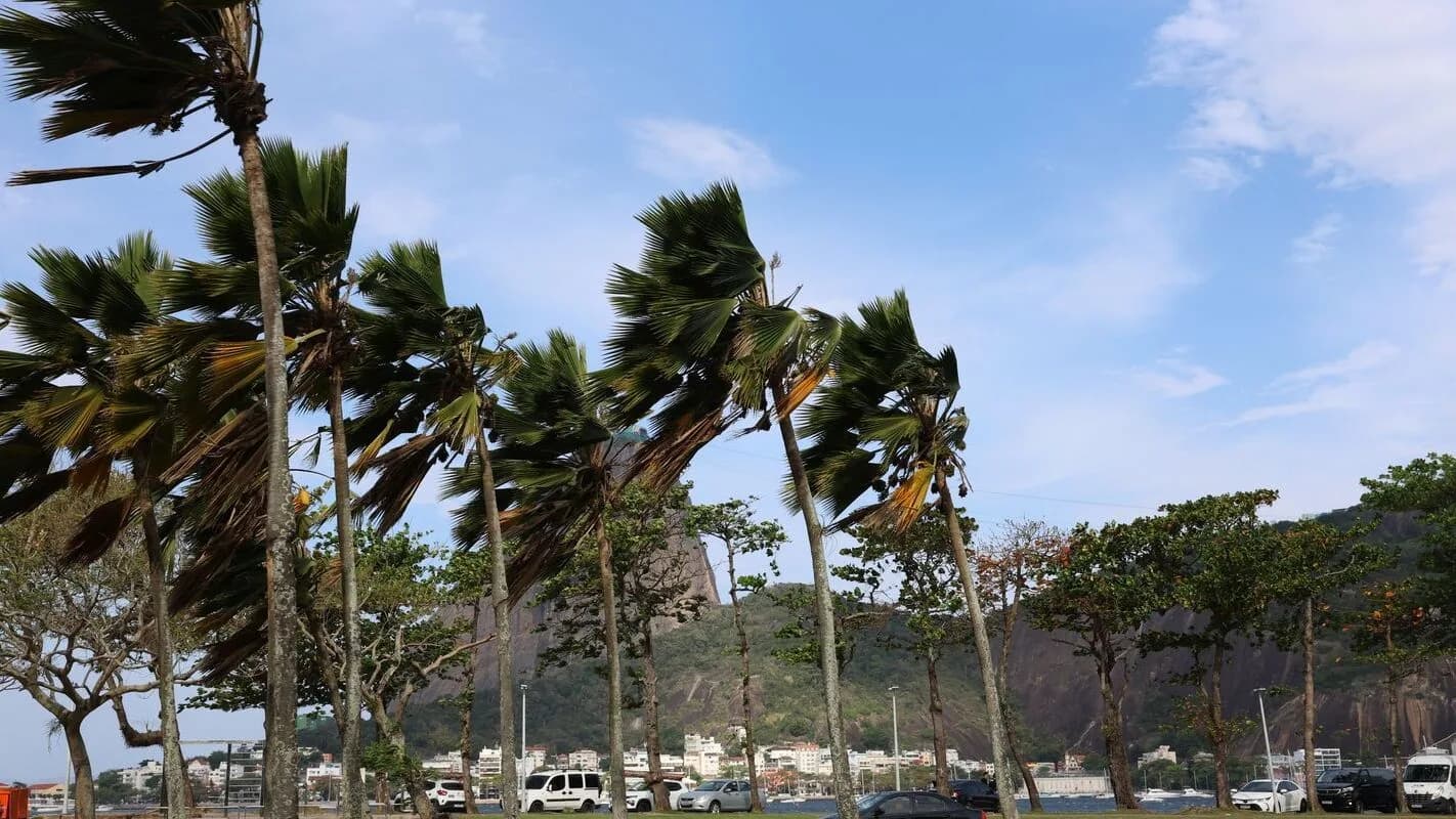Árvores inclinadas pelo vento no Rio de Janeiro, com montanhas ao fundo