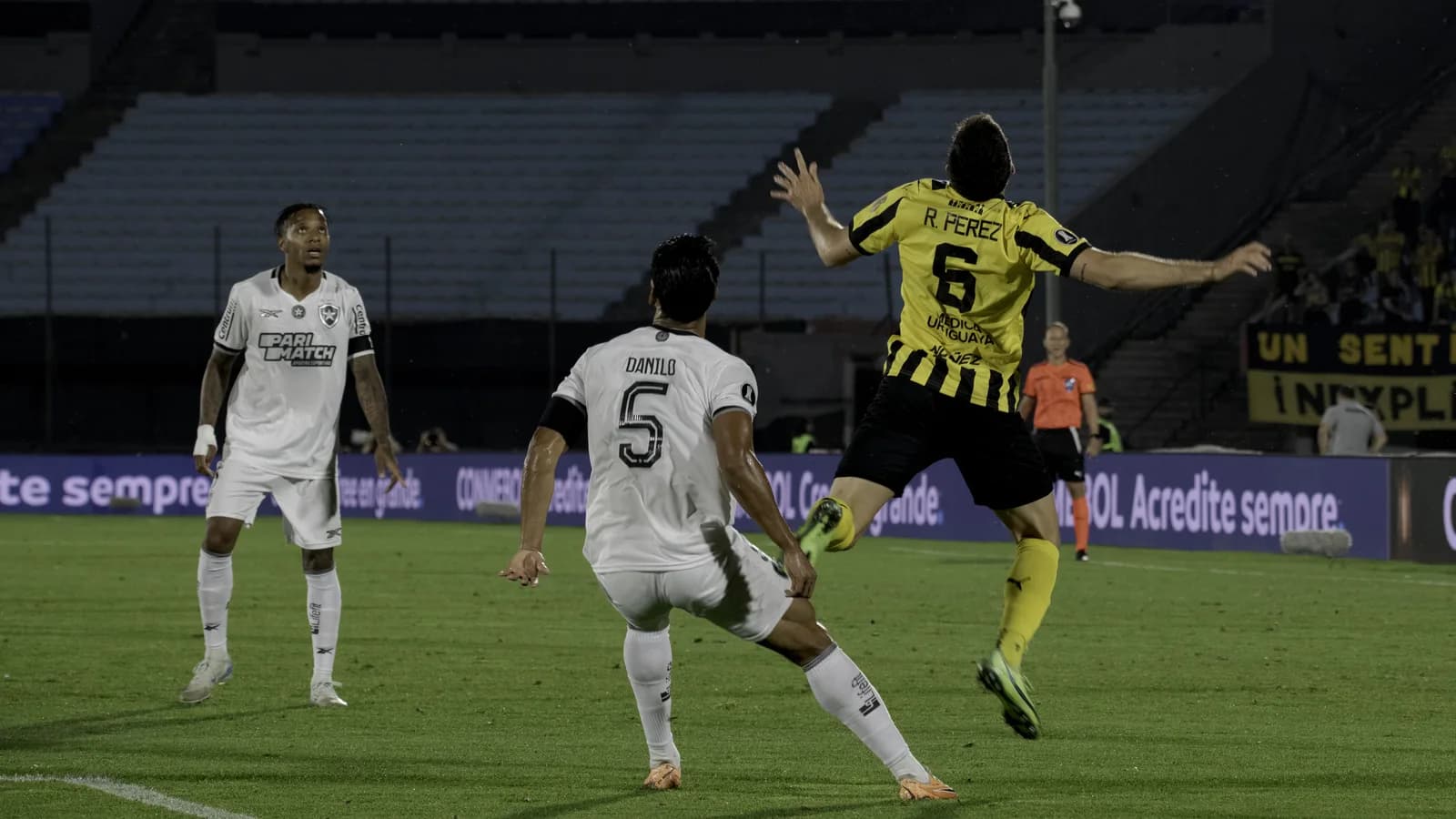 Jogadores do Botafogo em ação em partida de arquivo pela Copa Sul-Americana