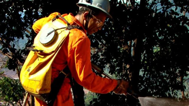 Bombeiro combate incêndio florestal (foto de arquivo)