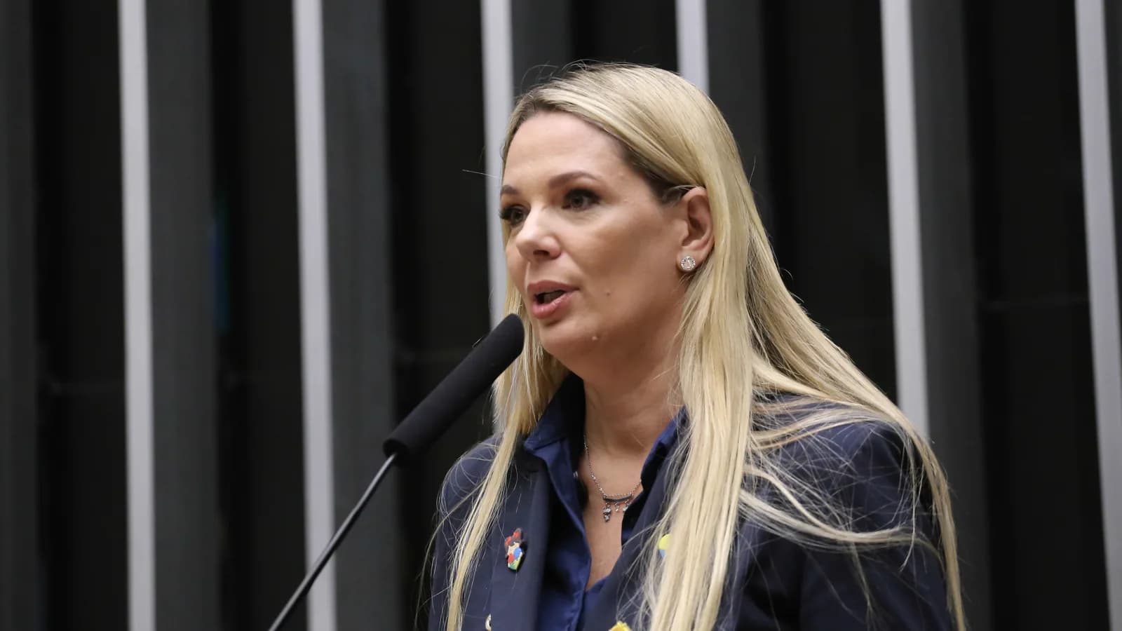 Fernanda Louback discursa ao microfone em evento na Câmara dos Deputados